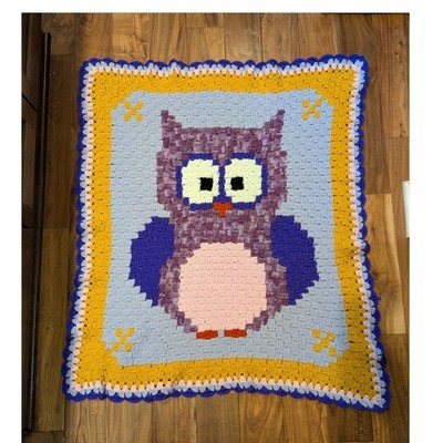 Handmade Crochet Owl Baby Blanket Purple Blue Yellow C2C Nursery Throw 36x41