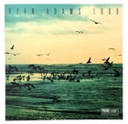Ryan Adams ‎/ 1989 (Taylor Swift Covers) 2015 2x Vinyl LP NM/EX Record Album