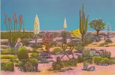 Oversize Postcard-Desert Cactus Vegetation