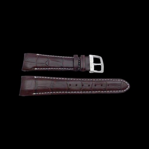 Citizen 22mm LONG Watch Band AT0550-11X 