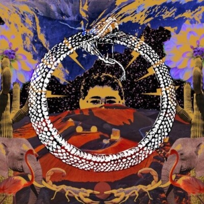 Stone House on Fire - Neverending Cycle [New Vinyl LP]