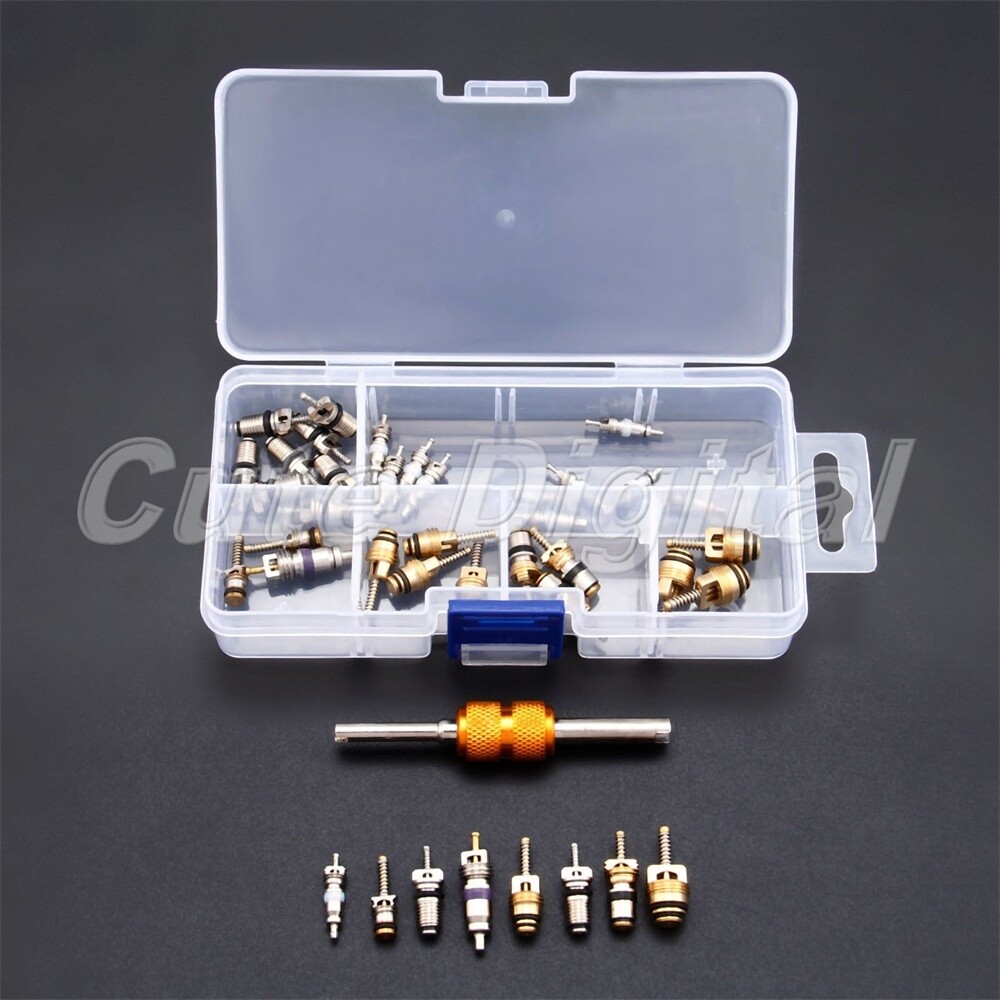 40Pcs Valve Stem Cores Remover Box Kit Car Air Conditioning Repair R12