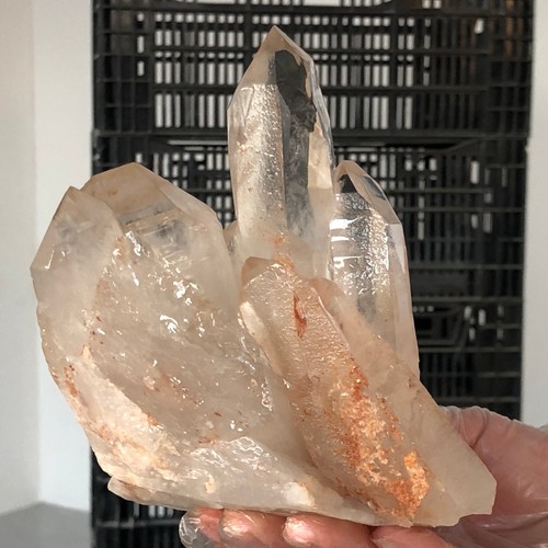 996g Natural white transparent Clear Quartz Crystal Cluster Mineral Healing E979 - Picture 12 of 14