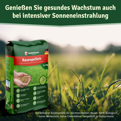 Rasenpellets Dürreresistenter Rasensamen Grassamen für widerstandsfähigen Rasen - Bild 7 von 7