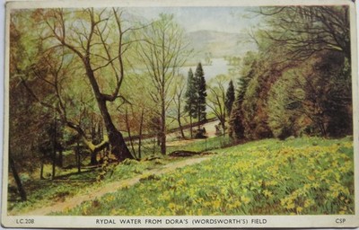 Alte Postkarte von Rydal Water aus Doras (Wordsworth's Field)