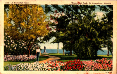 Waterfront Park, St. Petersburg, Florida postcard.