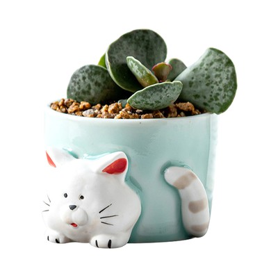 Flowerpot Exquisite Non-fade Ceramic Cactus Container Desk Decor