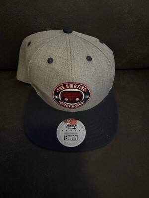 Funko The Amazing Spider-Man Snapback Hat Marvel Collector Corps Exclusive NEW
