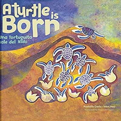 Una tortuguita sale del nido/ A turtle is born Rodolfo Dada Fumer