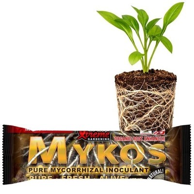Xtreme Gardening Mykos Mycorrhizae for Plants 100g (3.5oz)   3.5oz/100g, tan