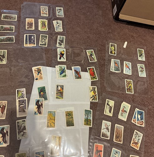 BROOKE BOND (TEA)-- (CANADA) TROPICAL BIRDS Dinosaurs Flowers Huge Lot - Picture 13 of 16