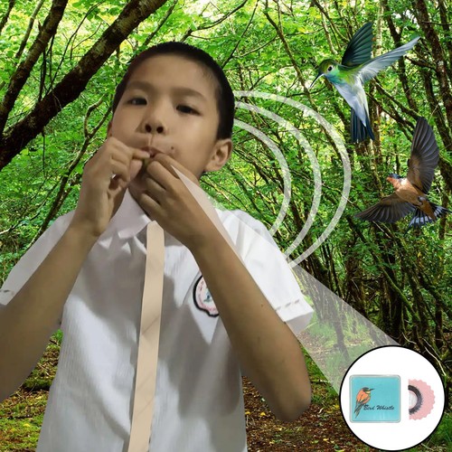 Professional Ventriloquist Reed Fast Vibrating Bird Whistle Multicolor