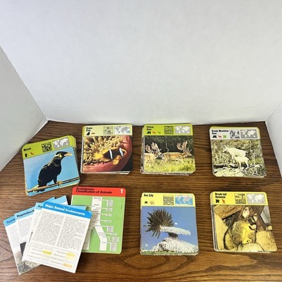 Safari Cards 1975 Vintage Rencontre Wildlife Animal Education Lot Of 281