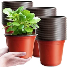 100 Pcs 6 Inch Plastic Nursery Pots Seed Starting Pots for Succulents Seedlings