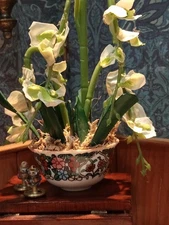 Dolls House Miniature Flowers White Orchids In Porcelain Bowl 