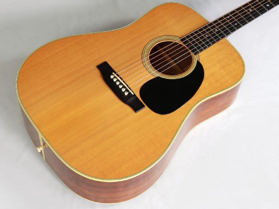 Acoustic Guitar Martin D-28 1974 Vintage with Original Blue