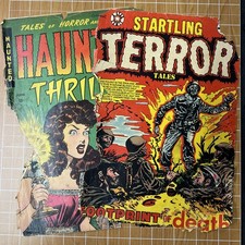 Cover of Startling Terror Tales #6
