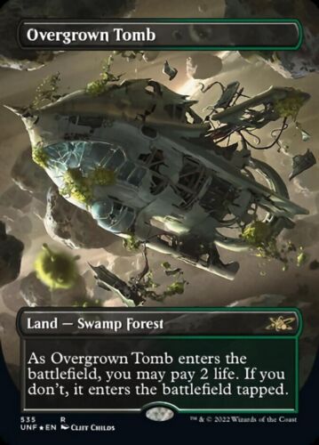 Overgrown Tomb (Borderless) (Galaxy Foil) [Unfinity] MTG Near Mint Foil - Picture 1 of 1