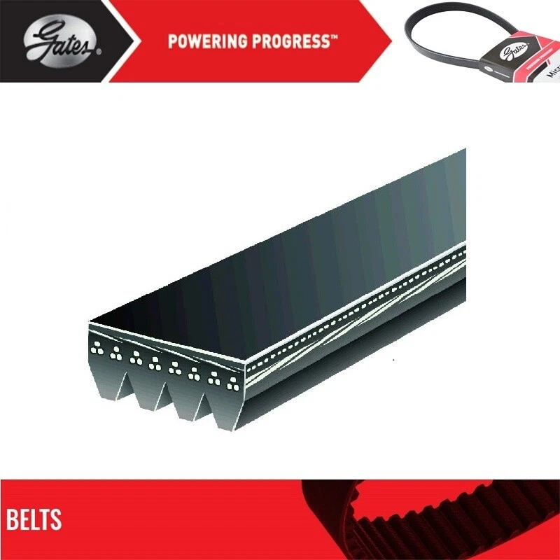 Cinturón GATES OE Micro-V para 1995-1996 GEO METRO L4-1,3 L Foto 2 de 4