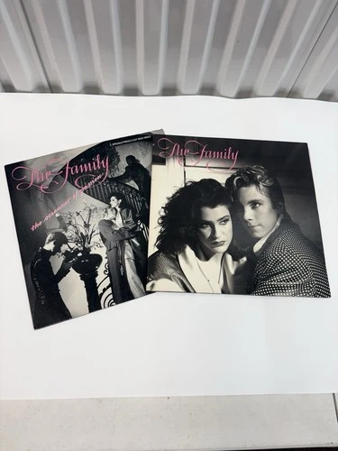 The Family Vinyl Lot The Screams of Passion + The Family LP Prince Related