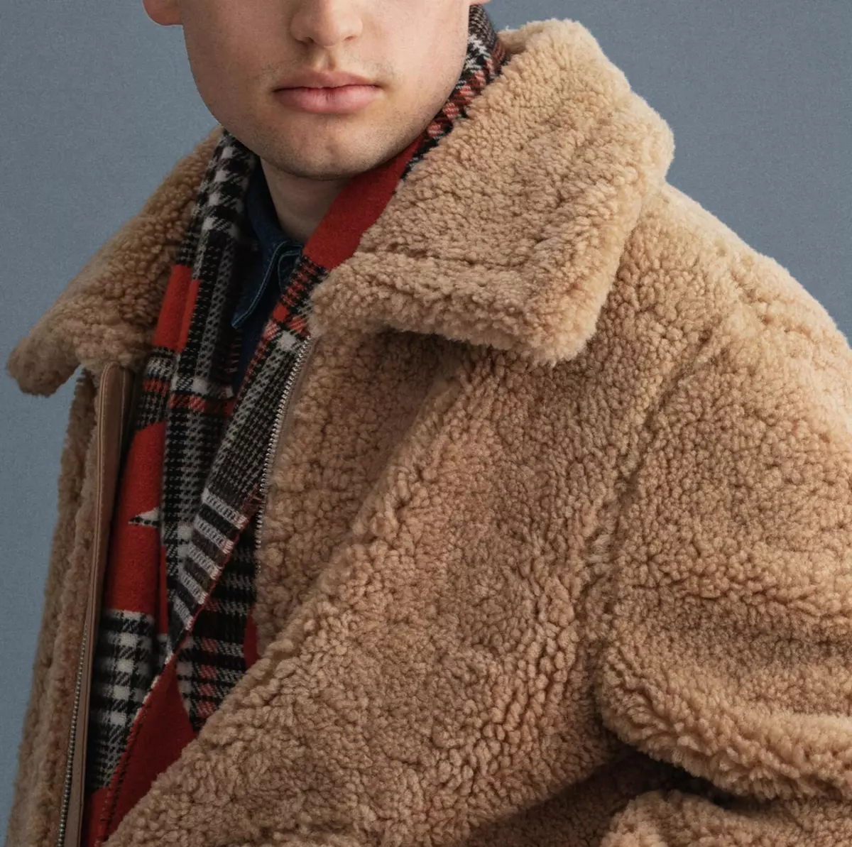 Blouson teddy gant new arrivals