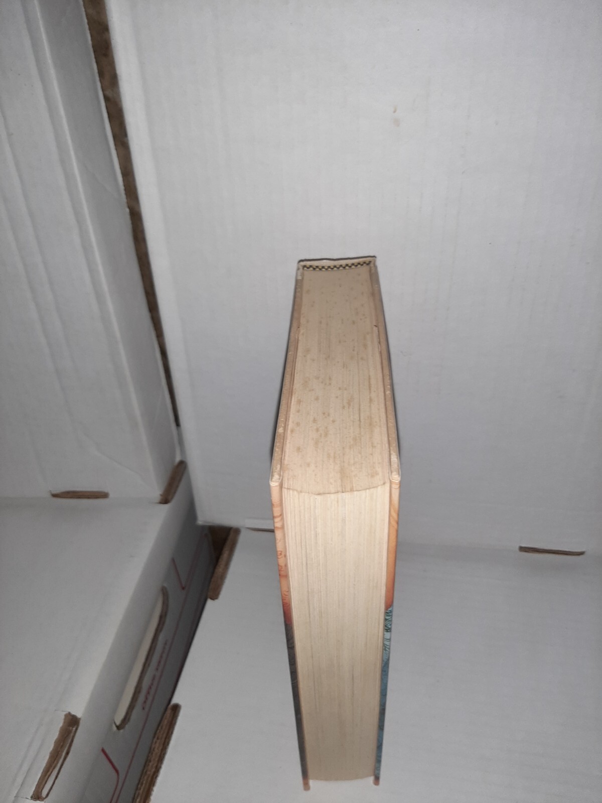 Picture 3 of 7