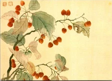 Qing Yun Shouping Album of Flowers Art Postcard Shanghai Museum China