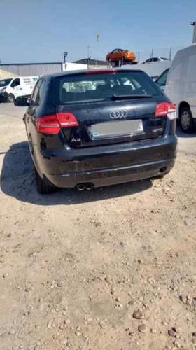 950414 Cinghia Ausiliare per AUDI A3 (8P1) 1.9 TDI Ambition 2009 733447 - Foto 7 di 10