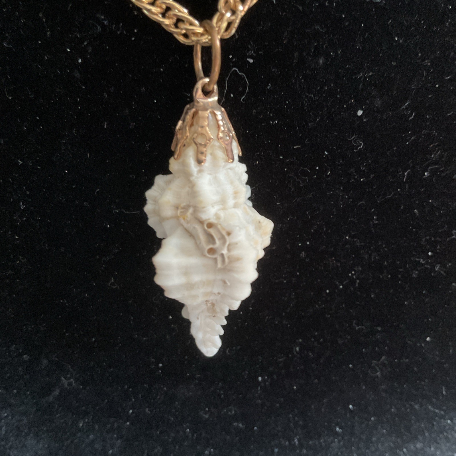 Bild 4 von 5