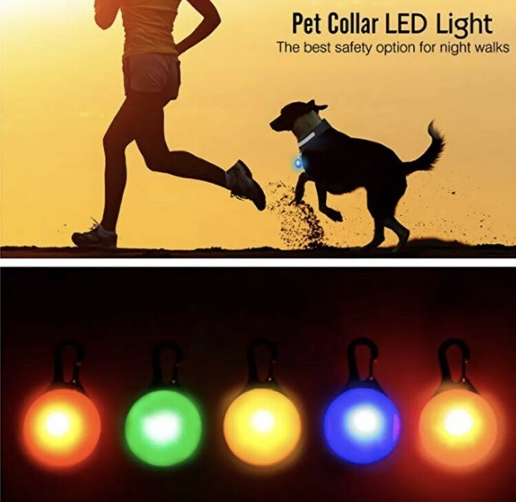 Waterproof Pet Dog Cat Collar LED Night Safety Clip Tag Flashing Luminous  Light