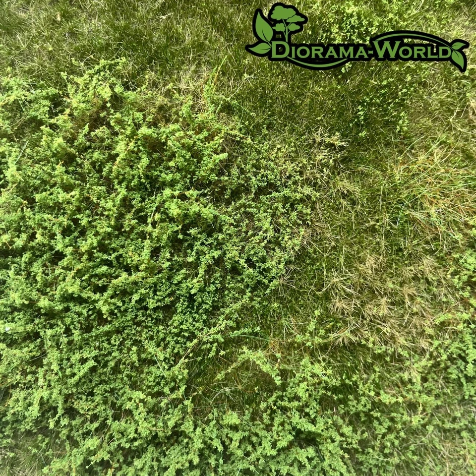 Wilde Wiese mit Büschen - Grasmatte 18,5x26,5cm - Modellbau, Diorama & Eisenbahn - Bild 2 von 4