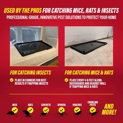 Catchmaster Rat, Snake and Mouse Traps 10Pk, Large Bulk Glue Rat Traps for Home, image 4