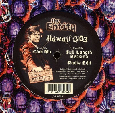 The Entity  - Hawaii 303 (12'')