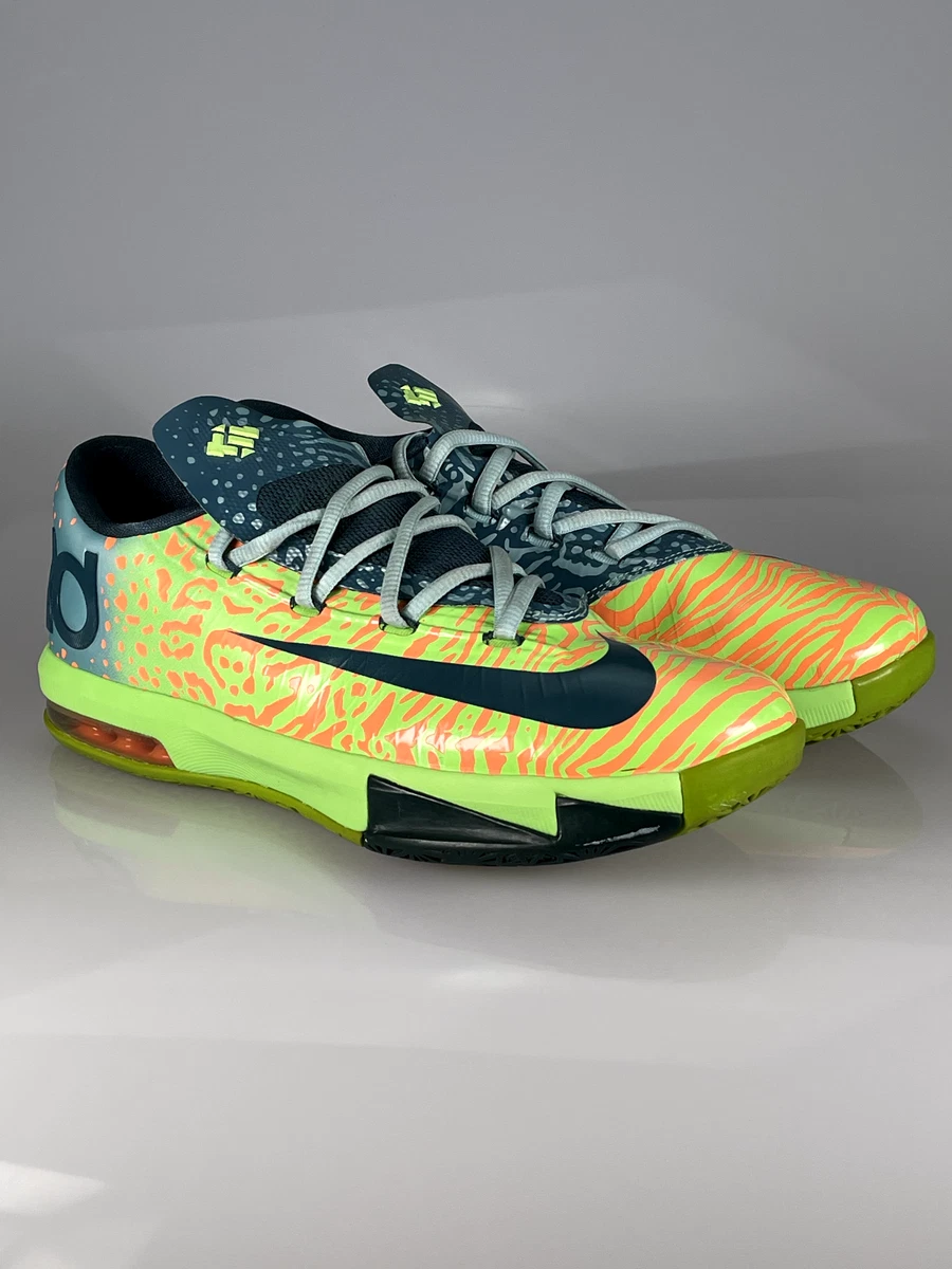 Kd 6 cheap liger