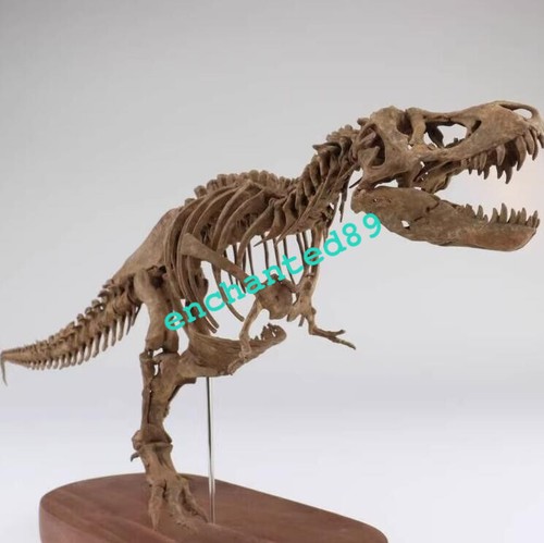 Tyrannosaurus Rex Skelett Dinosaurier Statue Tiermodell Sammlerstück Display - Bild 7 von 9