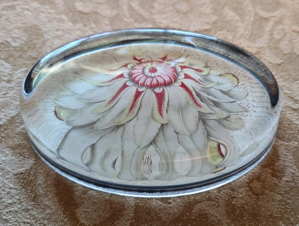 John Derian for sale | eBay