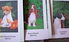 Best Of Breed Mini (Artistic Collection) Garden DOG Flag (25 BREEDS)Choose 1