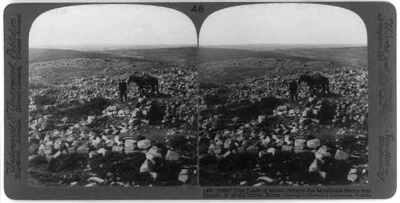 The fields of Moab where the Moabish Stone was found, N at old Dibo - Old Photo