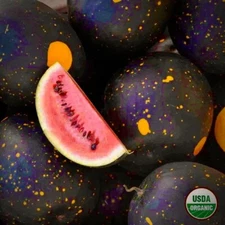 20 Moon and Stars Red Cherokee watermelon￼ Seeds/NON-GMO FREE SHIPPING!