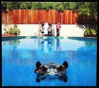 Sparks - Hippopotamus (CD) 2017, P&C BMG - VGC