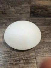 Harbor Breeze Beach Creek Ceiling Fan Replacement Part - Glass Globe