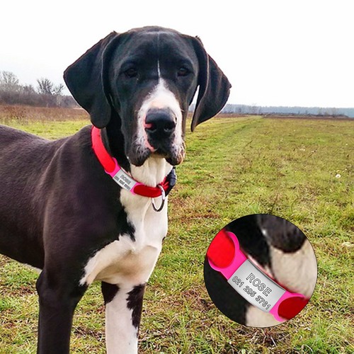 ID Dog Tag Hundemarke Edelstahl + Gravur nach Wunsch & Silikonring für Halsband - Bild 11 von 24