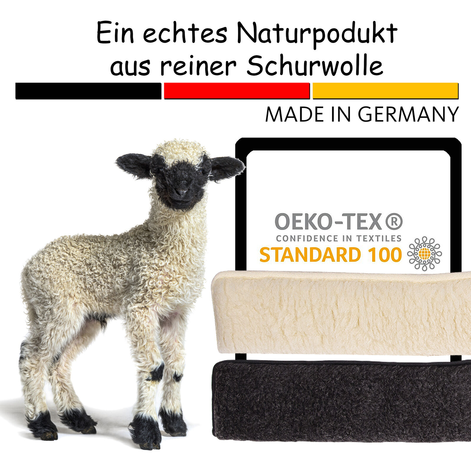 Bild 7 von 7