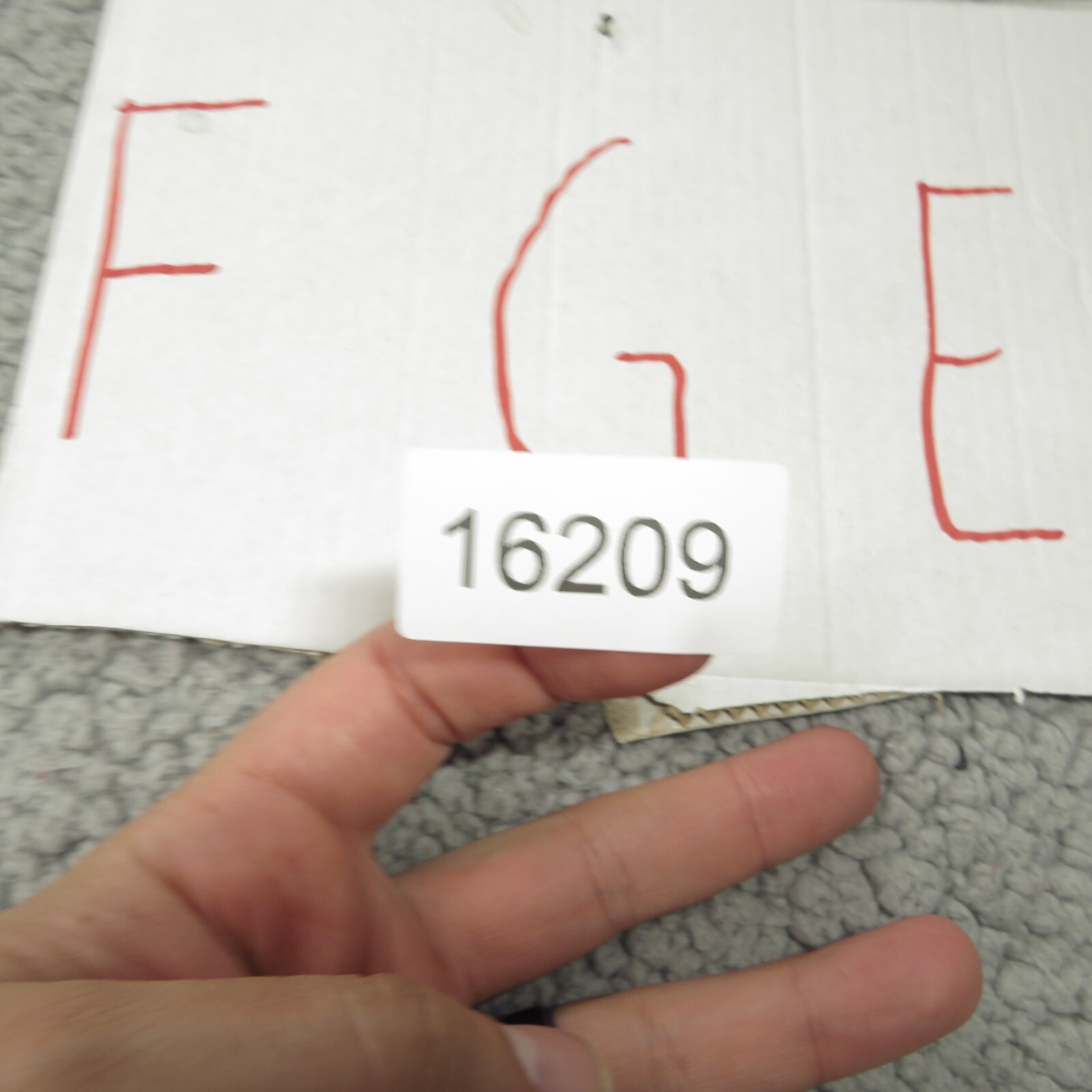 Foto 13 di 13