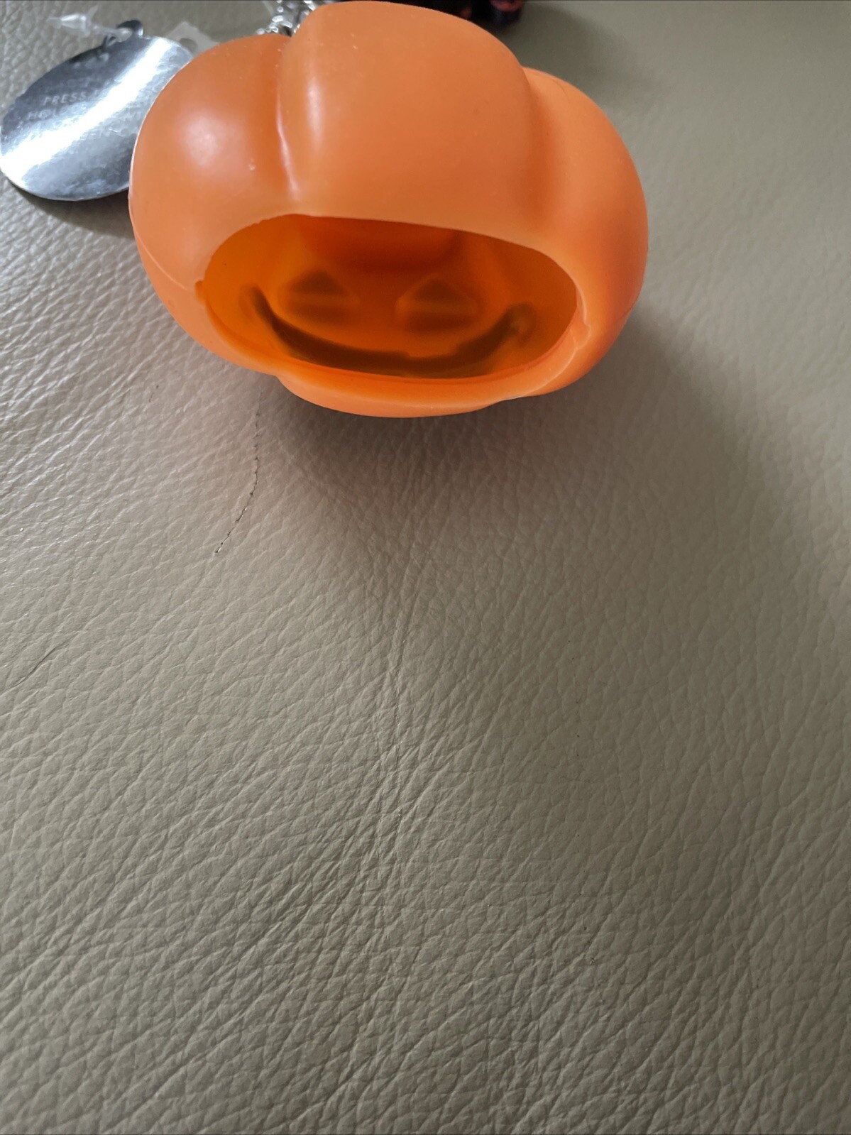 Picture 5 of 5
