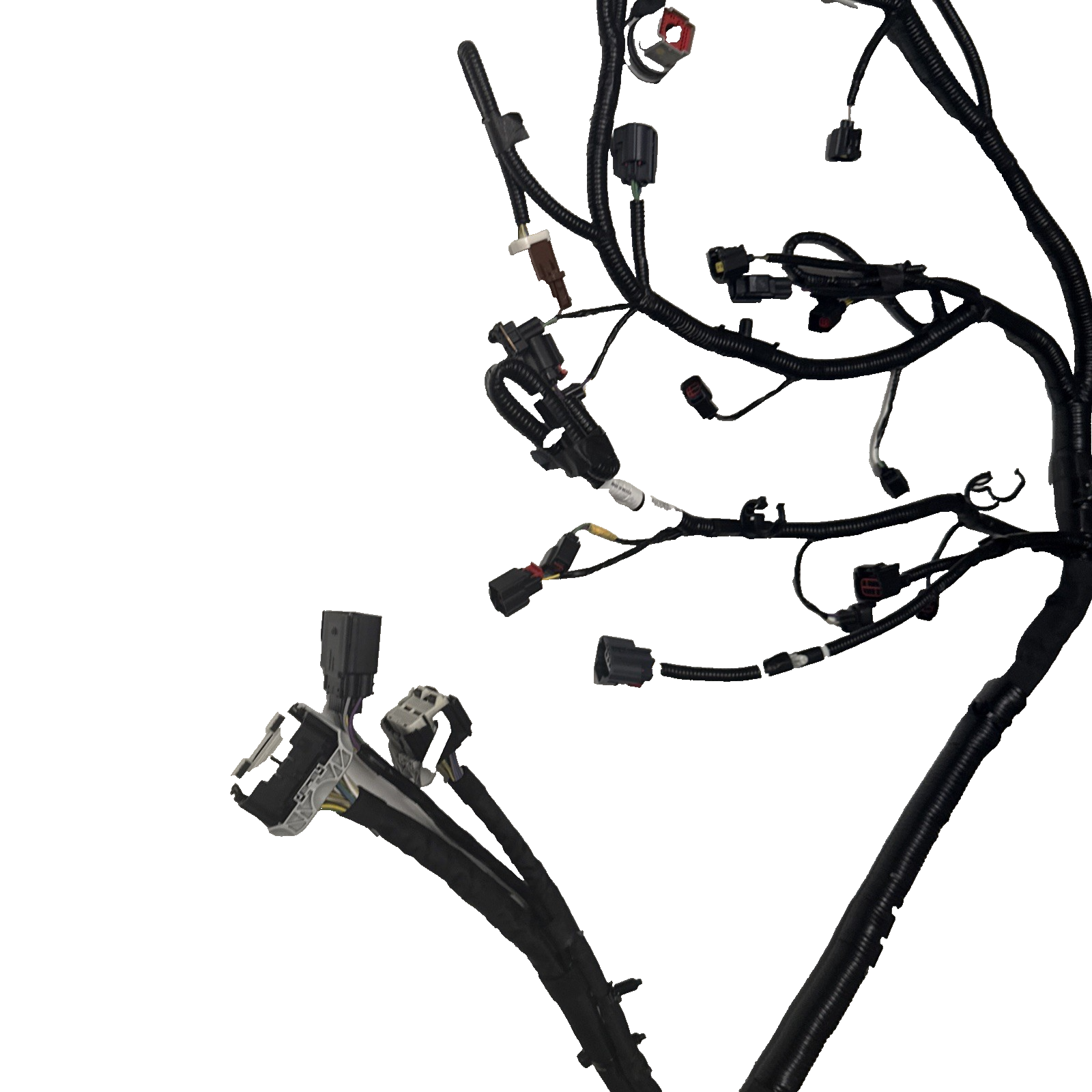 Bild 8 von 12