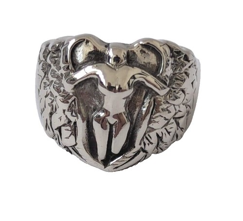 FTW Stainless Steel Motorcycle Biker Ring Sz 7,8,9,10,11,12