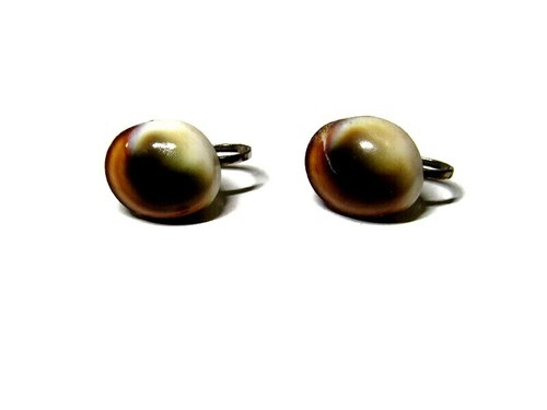 Vtg Polished Cat's Eye Shell Screw Back Earrings