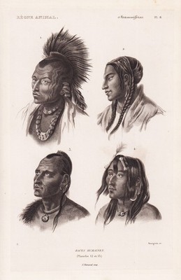 Menschen America people Amerika Indianer Indian engraving Stahlstich Cuvier 1849