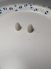 Dug Civil War era Spencer bullets